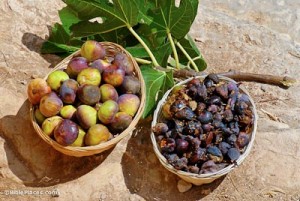 122 - 2 baskets of figs